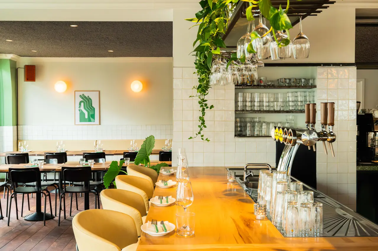 The Combo bar: a long wooden counter with yellow bar stools, wine taps and hanging plants